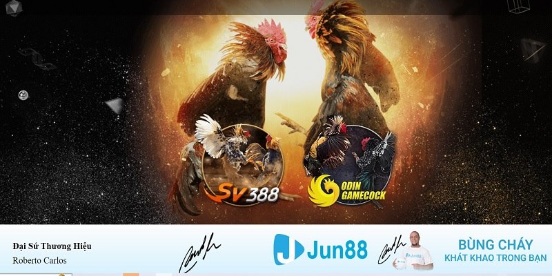 link hi88 xổ số miền nam hàng tuần