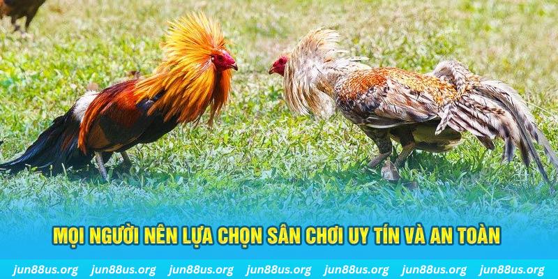 link hi88 hơn cả bạn bè