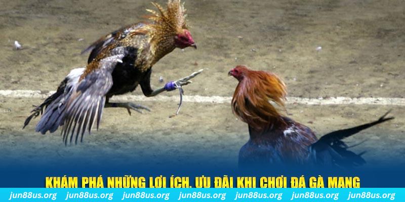 link hi88 Tài Xỉu 2