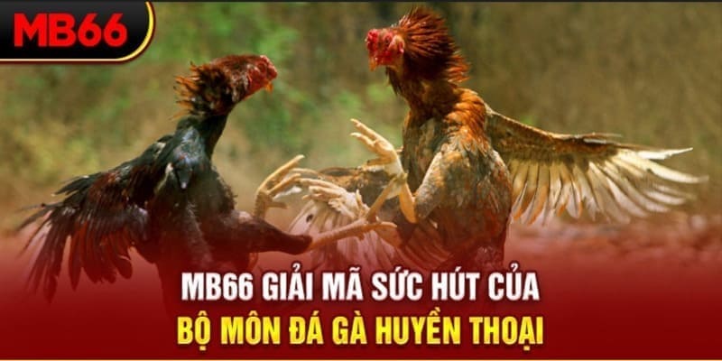 link hi88 long bảo trong baccarat là gì