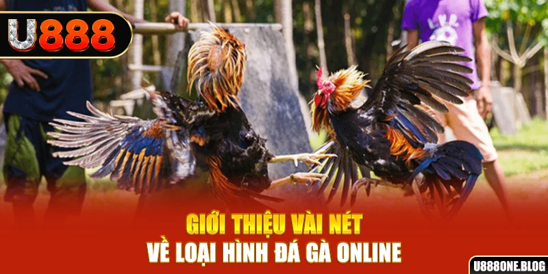 link hi88 xổ số miền nam thứ ba