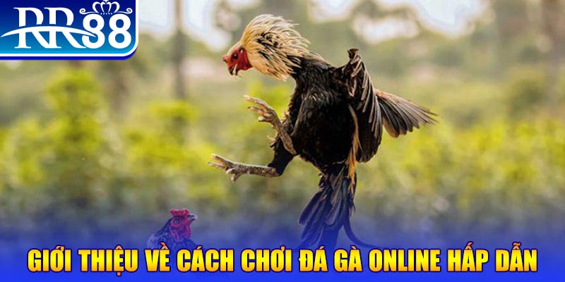 link hi88 nổ hũ 2 mặt là gì