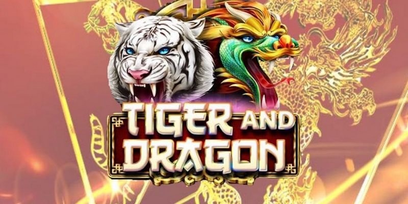 link hi88 cá cược tiếng anh là gì