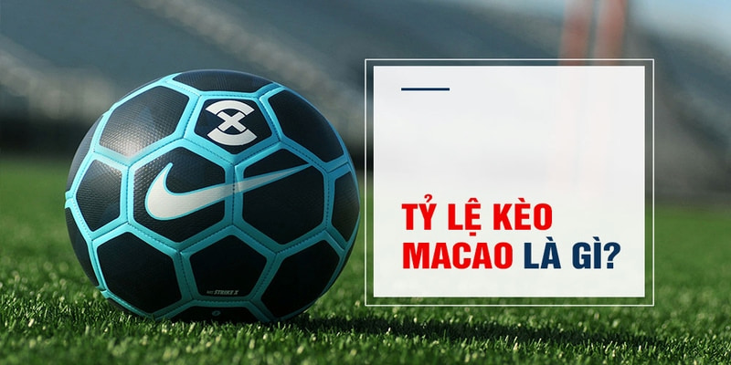 link hi88 Trăm Knorr
